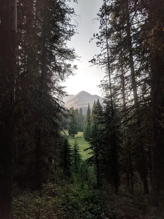 Gardner River Picture 9