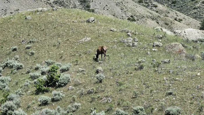 Gardner River Picture 5