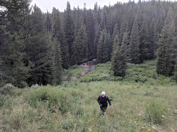 Gardner River Picture 10