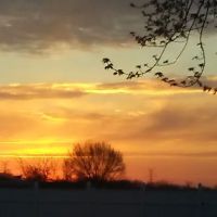 Saginaw Bay Estates ico