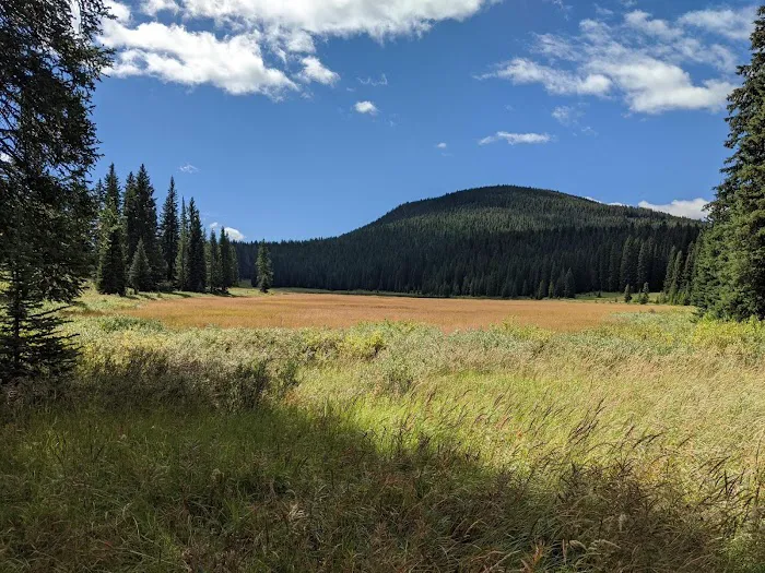 Fawn Lake 1F2 Picture 1