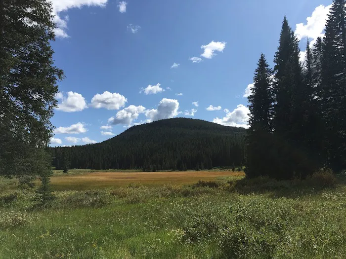 Fawn Lake 1F2 Picture 2