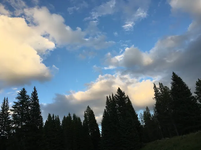 Fawn Lake 1F2 Picture 3