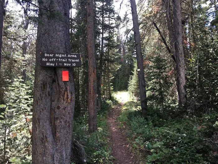 Fawn Lake 1F2 Picture 5