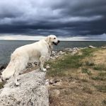 Sunset Bay Marina & RV Park