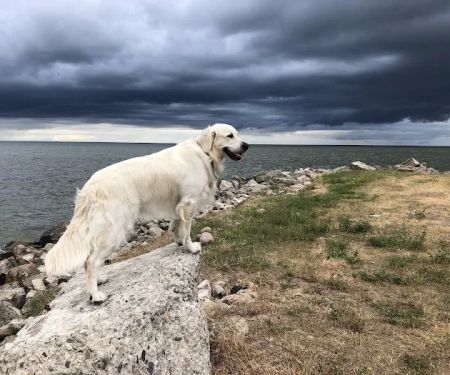 Sunset Bay Marina & RV Park