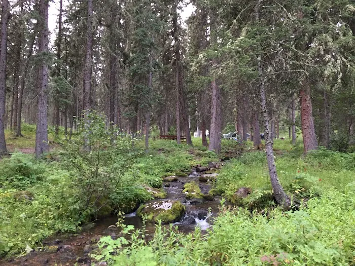 Grasshopper Campground Picture 10