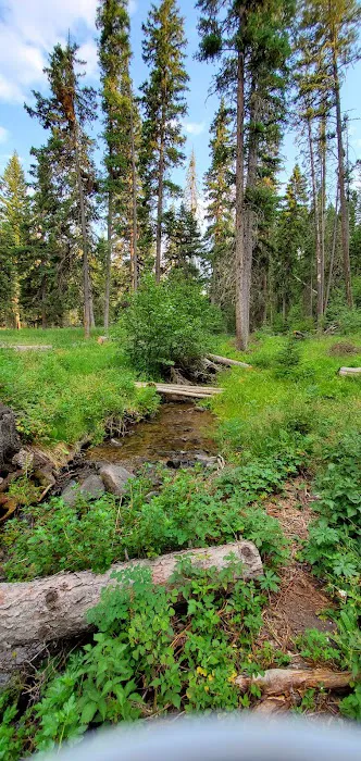 Grasshopper Campground Picture 2