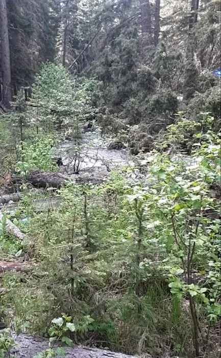 Richardson Campground Picture 1