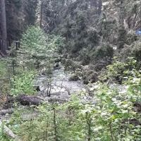 Richardson Campground ico