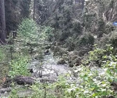 Richardson Campground