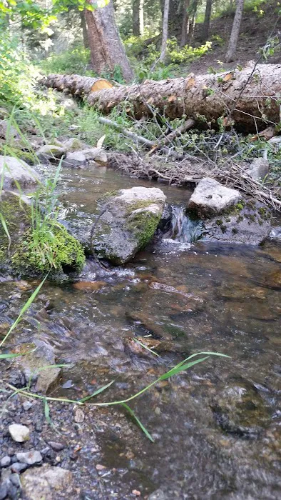 Richardson Campground Picture 4