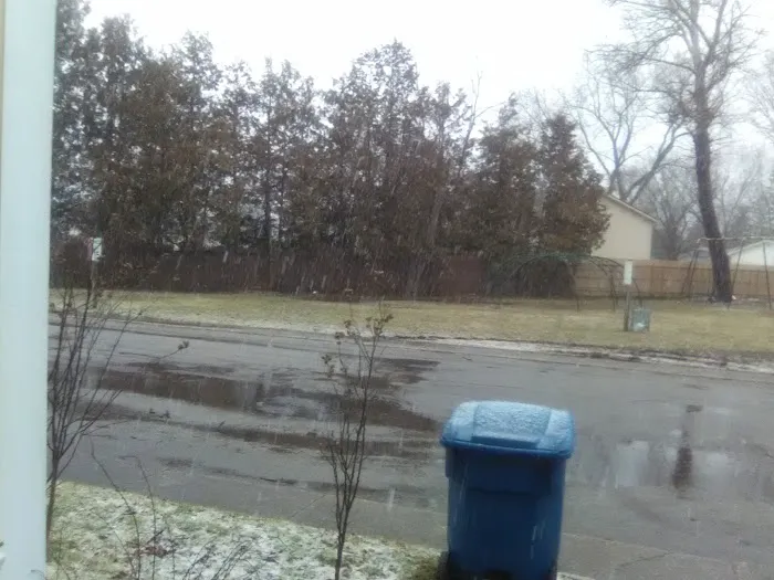 Shady Rest Mobile Plaza Picture 1