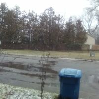 Shady Rest Mobile Plaza ico