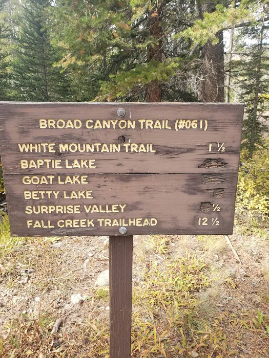 Broad Canyon Campground & Trailhead Picture 4