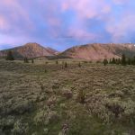 Broad Canyon Campground & Trailhead