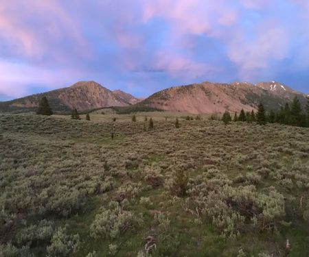 Broad Canyon Campground & Trailhead