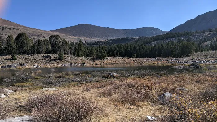Lake Creek Trailhead & Campground Picture 6