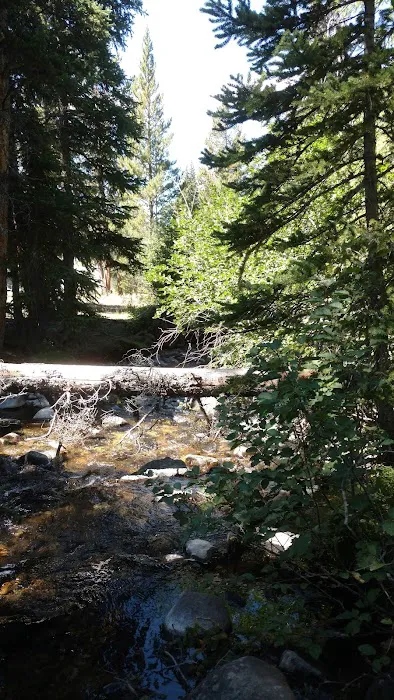 Lake Creek Trailhead & Campground Picture 10