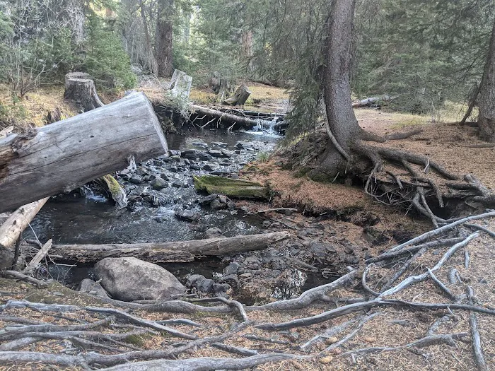 Star Hope Campground Picture 3