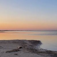 Wenona Beach Estates ico