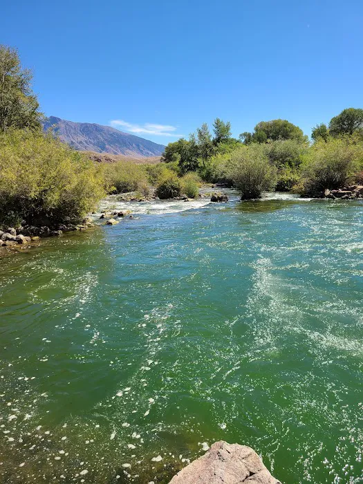 Joe T. Fallini Campground Picture 1