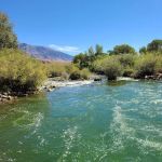 Joe T. Fallini Campground