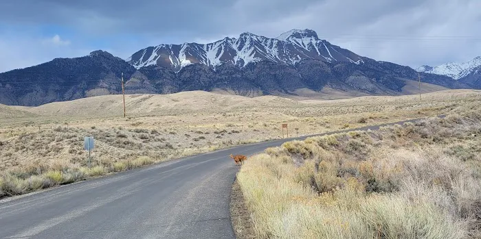 Joe T. Fallini Campground Picture 10