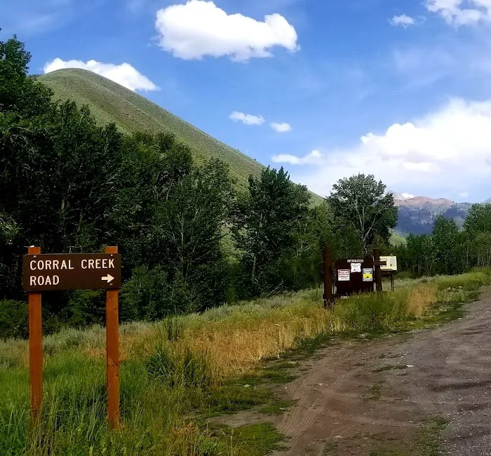 Corral Creek Canyon Camping Picture 4