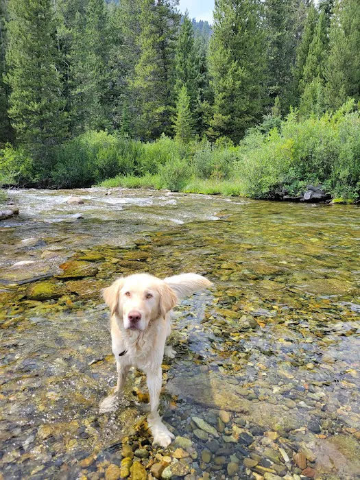 Murdock Campground Picture 2