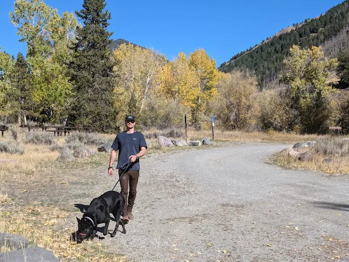 Boundary Campground Picture 3