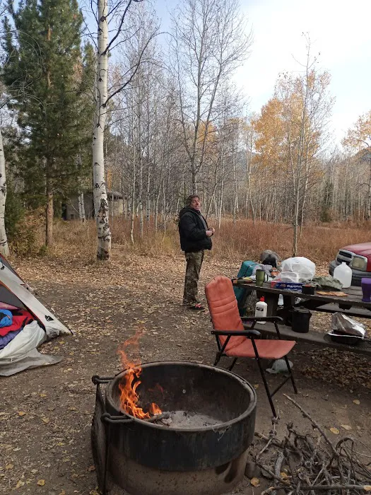 North Fork Campground Picture 1