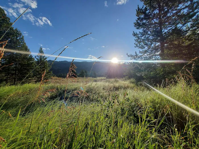 North Fork Campground Picture 3