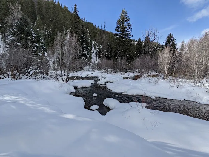 North Fork Campground Picture 7