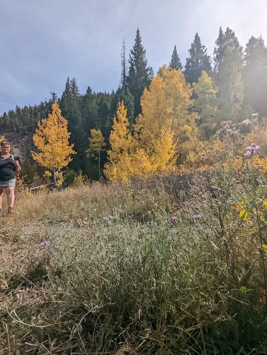 Wood River Campground Picture 7