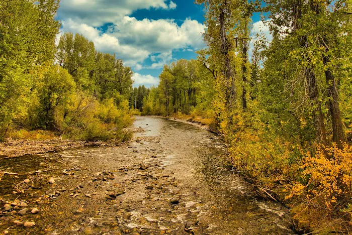 Wood River Campground Picture 5