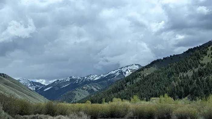 Federal Gulch Campground Picture 3