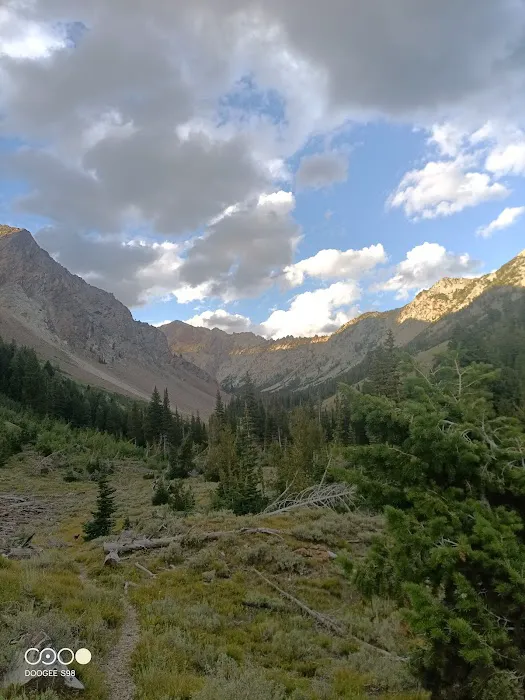 Federal Gulch Campground Picture 4