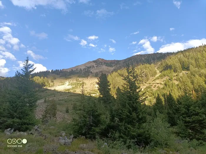 Federal Gulch Campground Picture 5