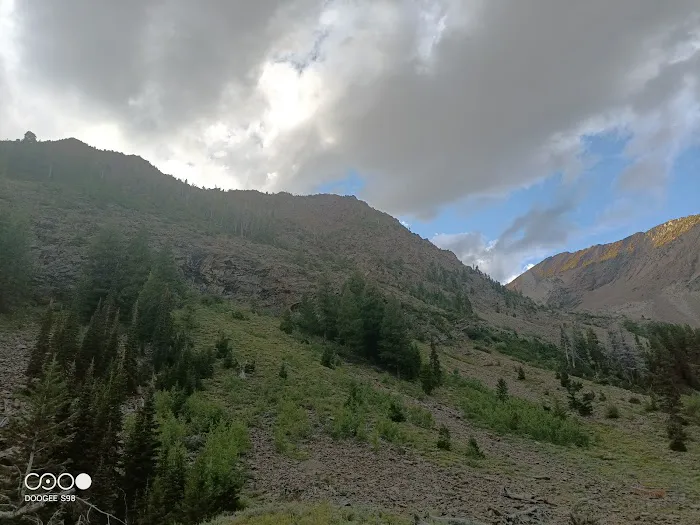 Federal Gulch Campground Picture 8