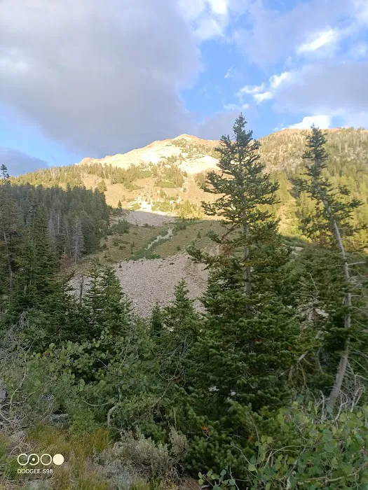 Federal Gulch Campground Picture 7