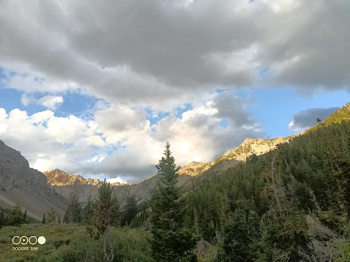 Federal Gulch Campground Picture 10