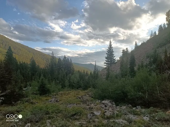 Federal Gulch Campground Picture 9