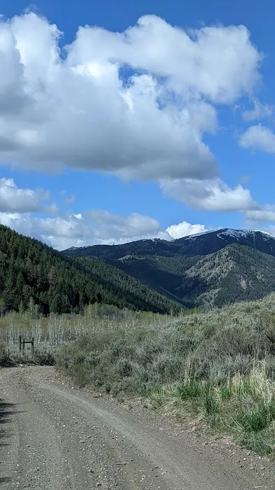 Federal Gulch Campground Picture 2