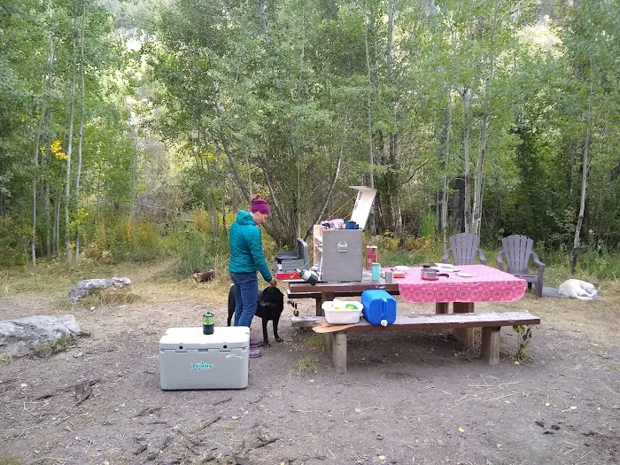 Sawmill Campground Picture 4