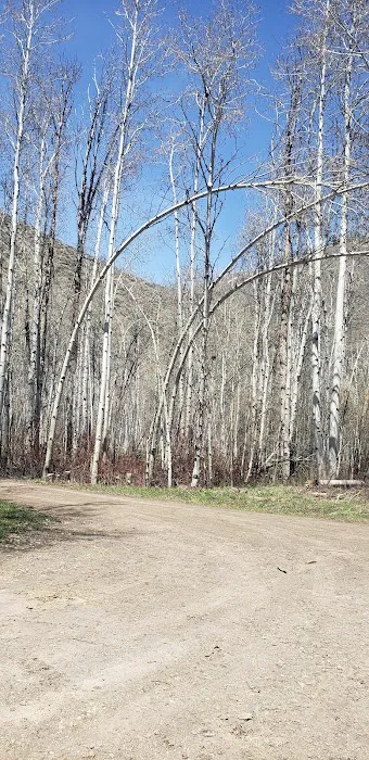Sawmill Campground Picture 2