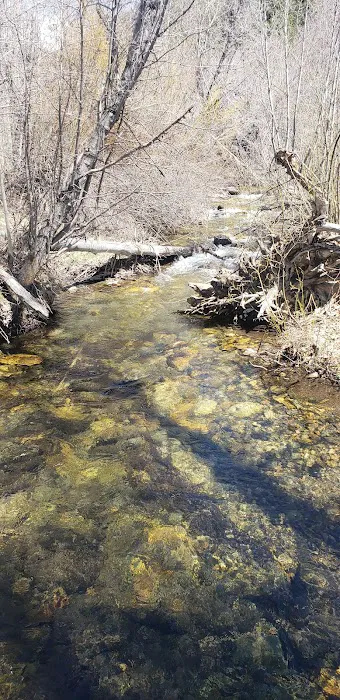 Sawmill Campground Picture 3