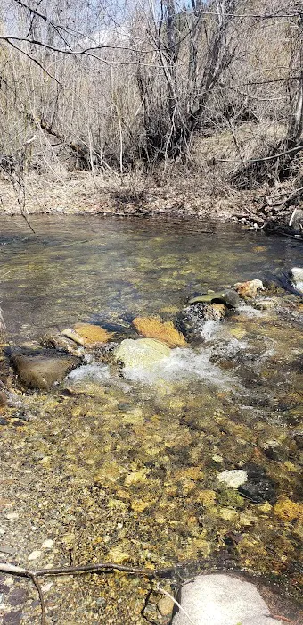 Sawmill Campground Picture 6