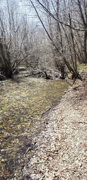Sawmill Campground Picture 1