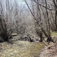 Sawmill Campground ico